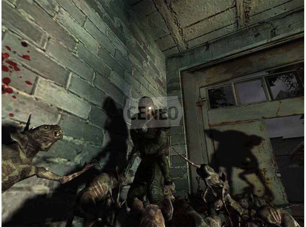 STALKER SHADOW OF CHERNOBYL (Gra PC) - Ceneo.pl