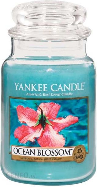 http://image.ceneo.pl/data/products/10564085/i-yankee-candle-ocean-blossom-sredni-sloik.jpg