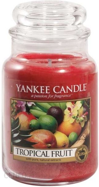 http://image.ceneo.pl/data/products/10564125/i-yankee-candle-tropical-fruit-sredni-sloik.jpg