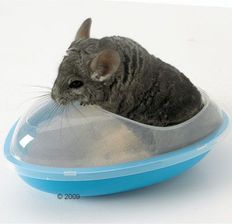 Savic Basenik kąpielowy Wellness - Dł. x x x 