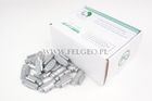 Ciezarki Nabijane FE/S 25g 100szt