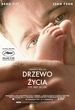 Drzewo Życia (The Tree of Life) (DVD)