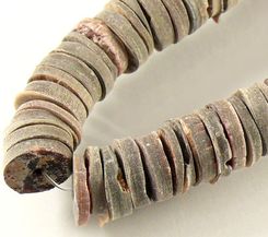 Muszla Oponki 3-4/20mm Tęczowa