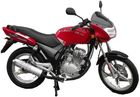 ZUMICO GR1100