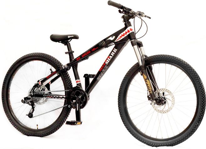 i-gecko-shark-dirt-street-2011.jpg