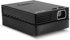 Acer X110P