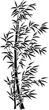 Szablon flora 360 - bambus