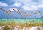 Komar FotoOcean Breeze National Geographic 8-515 Komar FotoOcean Breeze National Geographic 8-515