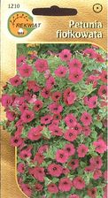 Petunia zwisła fiołkowata Violacea 0,1g R