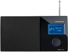 Grundig Cosmopolit 3F WEB