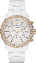 Fossil CH2716