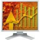 Eizo S1902SHG (S1902SH-GY)