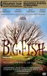Duża Ryba (Big Fish) (DVD)
