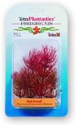 TetraPlant ROŚLINA FOXTAIL- CzERWONA   5CM 