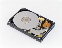 Western Digital CAVIAR 320GB 2.5cala SATA 8MB (WD3200BEVT)