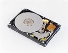 Western Digital CAVIAR 320GB 2.5cala SATA 8MB (WD3200BEVT)