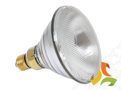 PROMIENNIK ENERGOOSzCzĘDNY (KWOKA) PAR 175W 