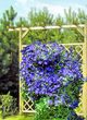 Pergola Pojedyncza 2400x2250x600 Pergola Pojedyncza 2400x2250x600