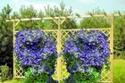 Pergola podwójna 2400 x 4500 x 600 Pergola podwójna 2400 x 4500 x 600