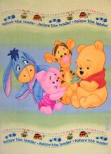 Toda Dywan Disney Baby Pooh 405