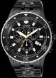 Citizen BL5295
