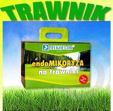 endoMikoryza Trawnik