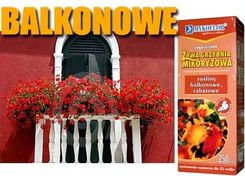 Mikoryza Balkonowe- Rabatowe- Doniczkowe
