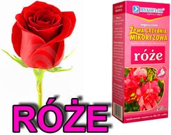 Mikoryza Róże