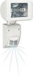 STEINEL Halogen z czujnikiem ruchu HS 2160 biała [630812]