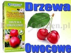 Mikoryza Grzybnia Drzewa Owocowe