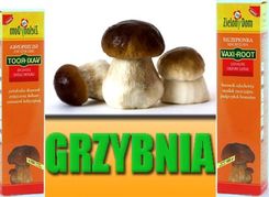 Mikoryza Grzyby Leśne ZIELONY DOM grzybnia