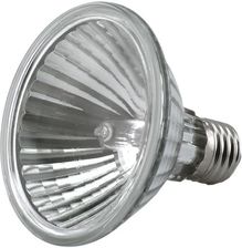 ANS Żarówka halogenowa PAR30 75W E27 ciepły 