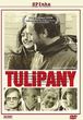 Tulipany (DVD)