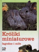 Króliki miniaturowe. łagodne i miłe