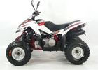 Quad sportowy ACCESS MOTOR SP 300S Quad sportowy ACCESS MOTOR SP 300S