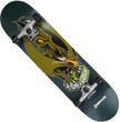 Birdhouse Tony Hawk Ptero Birdhouse Tony Hawk Ptero