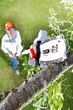 Weltbild Elektryczna piła łańcuchowa do gałęzi Weltbild Elektryczna piła łańcuchowa do gałęzi