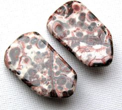 PACOCHA JASPIS  klipsy -  leopard