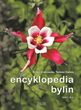 Encyklopedia bylin tom 1 (A-J)