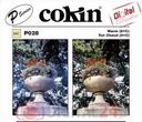 Cokin WP1R028 (WP1R028)