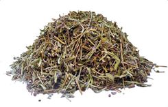 Macierzanka ziele