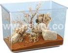 Terrarium NETTUNO MEDIUM