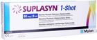 BIONICHE Suplasyn 1-Shot 60 mg/6ml 1 ampułko-strzykawka