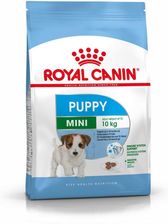 ROYAL CANIN MINI JUNIOR 8 kg