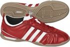 Adidas Adiquestra IV IN