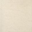 Novabell Absolute Crema Marfil Gres 59,1x59,1