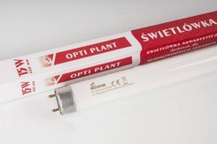 Świetlówka Diversa T8 Opti Plant 15W
