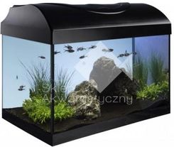 zestaw Startup 40 Diversa czarny