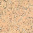 Wicanders Korek Ścienny Alabaster Sand Ta13001 Wicanders Korek Ścienny Alabaster Sand Ta13001