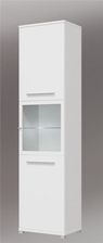 Forte Witryna Arctic ARCV81B
